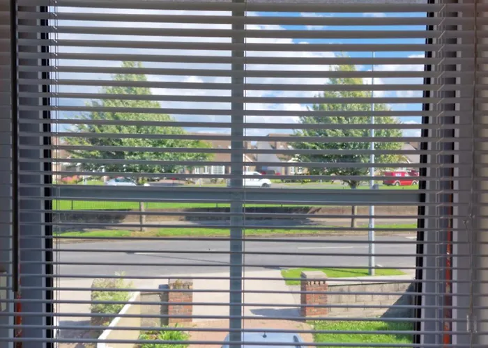 Females Only - Private Bedrooms In Dublin ホームステイ ルーカン